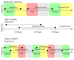 Bird Vocalization Wikipedia