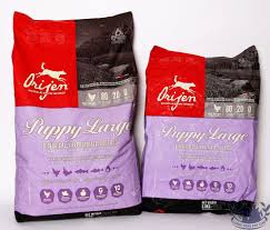 Orijen Large Puppy Food R95 00 R1 650 00 Buy From Pet