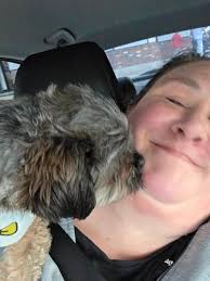 Do shih tzus like to cuddle?