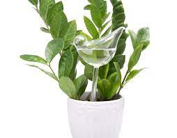 A Little Bird Water Globe So Efficient At Watering Your Plants You Ll Want To Sing About It Self Watering Plants Watering Bulbs Plants