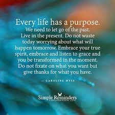 Every Life Has A Purpose By Caroline Myss Purpose Quotes Life Quotes Words