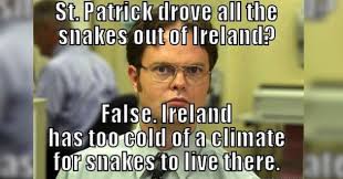 Whether you're going to be spending the day with your irish relatives eating corned beef and cabbage, or pretending to be irish at the bar with your. 10 Silly But Funny St Patrick S Day Memes To Bring The Humor Out Of You Notesradar