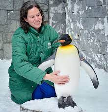 What they can do very well 8. Cuddling Live Penguins In Dubai I Promise This Is Real Female Travel Bloggers Top Europe Destinations Penguins