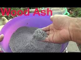 How To Make Plant Fertilizer Wood Ash For Plants Best Homemade Fertilizer Urdu Hindi Youtube Fertilizer For Plants Easy Garden Fertilizer