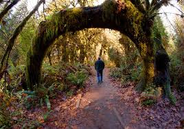 It is also the first time that an olympic park has been built for hosting winter games. The Olympic Peninsula Wa Official Travel Tourism Site