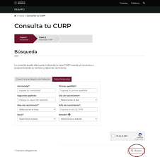 Formulario online para consultar la curp en segundos. Busca Tu Curp Por Nombre Y Apellido Citas Y Tramites En Mexico 2021