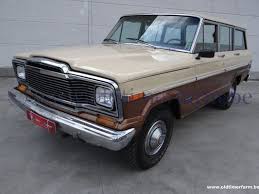 Image result for Beige 1979 Buick