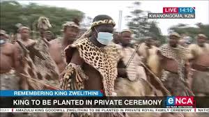 King goodwill zwelithini has been battling to make ends meet because the money given to the royal household trust for the monarch's welfare was not enough. Remembering King Zwelithini King To Be Planted In Private Ceremony Youtube