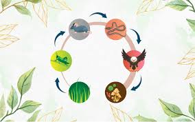 While all matter is conserved in an ecosystem, energy still flows through it. What Is Food Chain Definition Types Examples Leverage Edu