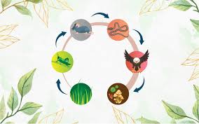 It differs from a food chain in a way that the latter is a linear system showing a succession of organisms whereby each species is eaten in turn by. What Is Food Chain Definition Types Examples Leverage Edu