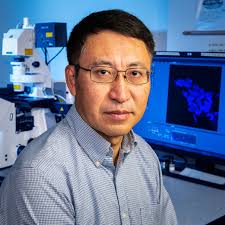 Community Congrats: Celebration of Service and Excellence (2019)