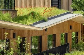 Ecoles Gymnase Et Restaurant Scolaire Rillieux Ecole Design Architecture Bois Gymnase