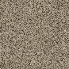 Lifeproof Carpet Sample Bonanza I Color Riverbank Twist 8 In X 8 In Sh 362019 The Home Depot