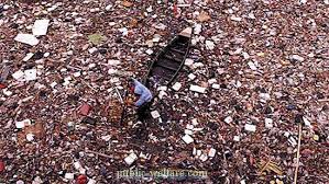 Hampas pertanian seperti hampas kelapa sawit boleh digunakan untuk menghasilkan metana. Pulau Sampah Di Lautan Pasifik Sebab Kesan Foto Alam Sekitar 2021