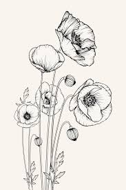 Black And White Flower Crown Drawing Poppy Flower Print Black White Drawing Nature Lover Wall Art Botanical Print California Nature Decor Poppy Flower Drawing Poppy Drawing Flower Drawing