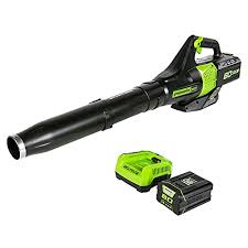 The 230 mph blower blows through leaves and debris with ease. Greenworks Bl80l2510 80v Jet Leaf Blower Powerlawntools