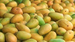 Maybe you would like to learn more about one of these? 10 Health Benefits Of Mangoes