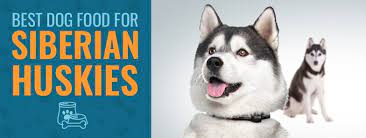 Best dog foods for huskies (2021). Best Dog Food For Huskies Top 7 In 2021 Reviewed For Puppies Adults And Seniors Animalso