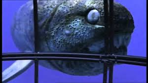 The megalodon shark was the largest shark that ever lived, estimated to have reached up to 60 feet in length. Fish Index Dunkleosteus