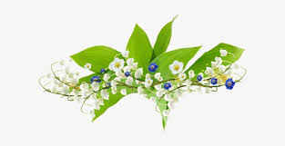 Последние твиты от muguet (@muguetzzle). Publicat De Eu Ciresica La Barres De Separations Muguet Free Transparent Png Download Pngkey