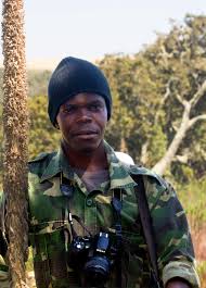 Image result for Lobelia mildbraedii