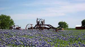 Flower Festivals Of The Us Arts Culture Travel Channel Flower Festival Festivals Around The World Festival