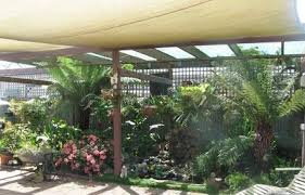Jen S Chronicles My Back Yard Backyard Garden Beds Backyard Shade House