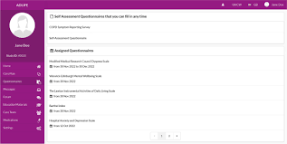 Design, implementation and usability analysis of patient empowerment in  ADLIFE project via patient reported outcome measures and shared decision  making