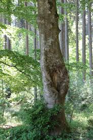 Ihr gewünschtes der innere garten schnell und einfach finden, vergleichen und geld sparen! Home Der Innere Und Der Aussere Garten