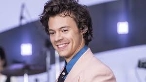 Hij verzorgt een energieke, inspirerende en leerzame dag voor uw bedrijf. Zanger Harry Styles Allereerste Man Op De Cover Van Vogue Linda Nl