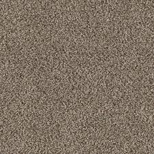Made from 100% polypropylene, these carpets have the visual texture of sisal, but they have the benefit of being able. Indoor Or Outdoor Carpet At Lowes Com