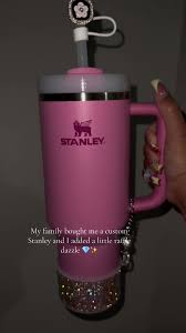 Passion Pink Stanley Decoration