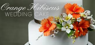 We did not find results for: Orange Hibiscus Wedding Cake Cakes