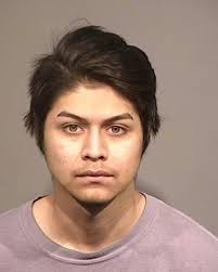 Man Accused Of Killing Brother In Healdsburg Pleads Not Guilty