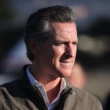 Mad About Bari Weiss: The New York Times Provocateur the Left Loves to Hate 