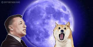 It is going to da moon). Elon Musk Plans To Literally Send Dogecoin To The Moon Cryptonetwork News Cnwn