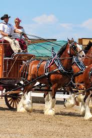 Monday Minstrel: An Unexpected Fascinator!