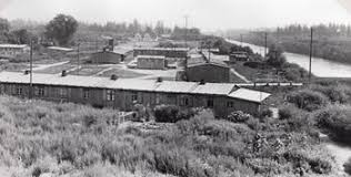 You can compare the best prices from all train lines and book online directly with wanderu. Barackenlager Toging Regiowiki Niederbayern