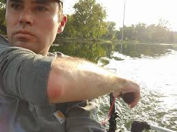 Can you navigate from Lake Erie to the Mississippi River by cutting down  around Cleveland or Toledo?