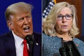 The vote to oust rep. Trump Liz Cheney Would Embarrass Her Family With 2024 Bid