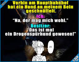 Ich Bin Unschuldig X X Lustige Spruche Lustige Bilder Humor Spruche 1jux Jux Lustig Jodel Lustigebil Witzige Dialoge Lustige Spruche Witzige Spruche