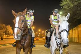 Fos provence basket avait simplement besoin d'un succès à domicile à la ha The Long Face Of The Law Meet The Abu Dhabi Police Horses Chasing Down Crime
