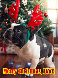 Cute Doggy Merry Christmas Card For Father Birthday Greeting Cards By Davia Funny Christmas Pictures Dad Holiday Christmas Humor