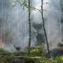 Economic Crisis Cell Activated to Support Gironde Businesses Amid 2026 Wildfires