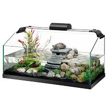 Whether You Are Looking For Turtle Accessories Or You Want To Buy A Turtle Online My Turtle Store Has You Covered Turtle Habitat Turtle Tank Turtle Tank Setup
