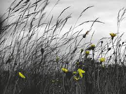 The Spring Winds Wind Awakening Abstract Artwork