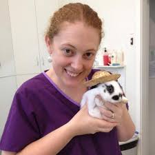 FASAVA Congress 2017: Directory