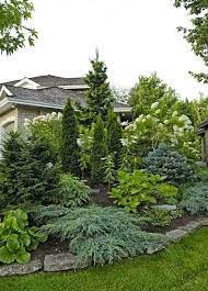 Some have become favorites because of their beautiful leaves, whether it's brilliant fall foliage or foliage that always looks sharp. 86 Privacy Via Landscaping Ideas In 2021 Landscape Design Backyard Landscaping Garden Design