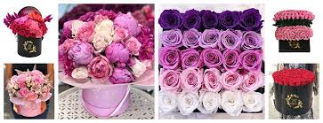 The 9 Best Options For Flower Delivery In Tel Aviv Updated 2019