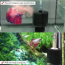 And there are an array of them to choose from. 6 Layer Betta Corner Sponge Filter Underwater Corner Aquarium Filter Works For Tropical Fish Breeder Aquarium Slow Current Perfect For Fry Small Fish Must Have For Aquarium